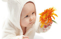MixiBaby